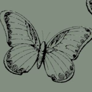 Meet your Posher, Mia